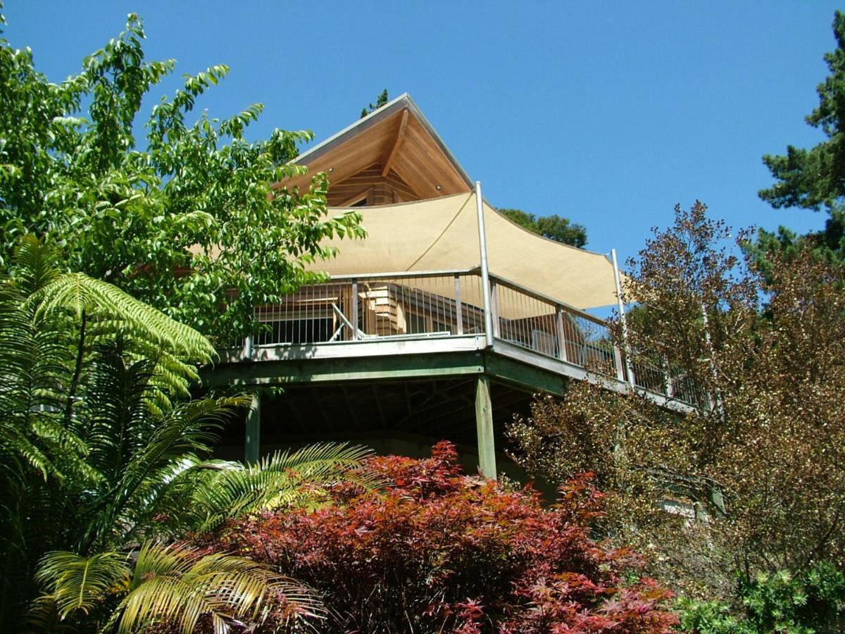 Waiotahi Valley Lodge Thames Ngoại thất bức ảnh